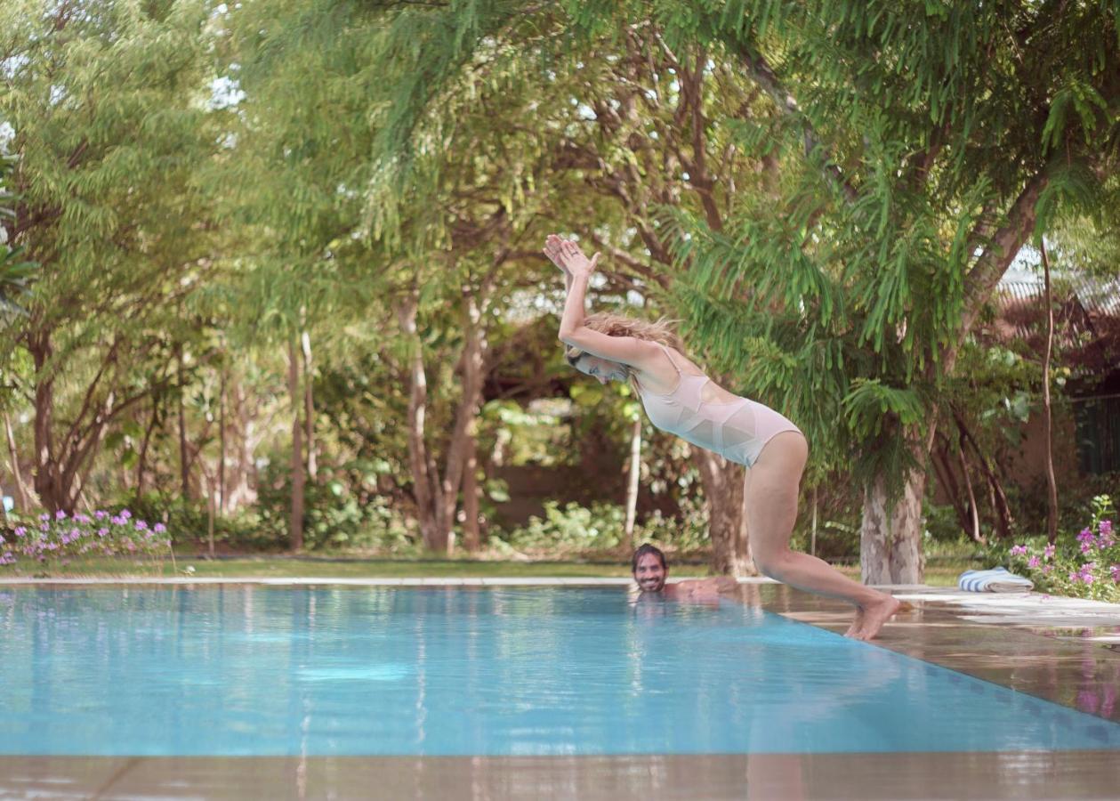 Pushkarorganic - Lux Farm Resort With Pool Exteriér fotografie
