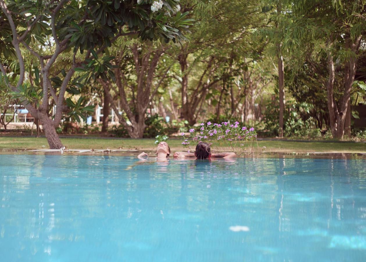 Pushkarorganic - Lux Farm Resort With Pool Exteriér fotografie