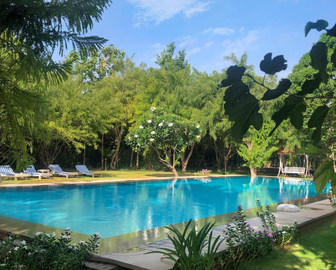 Pushkarorganic - Lux Farm Resort With Pool Exteriér fotografie