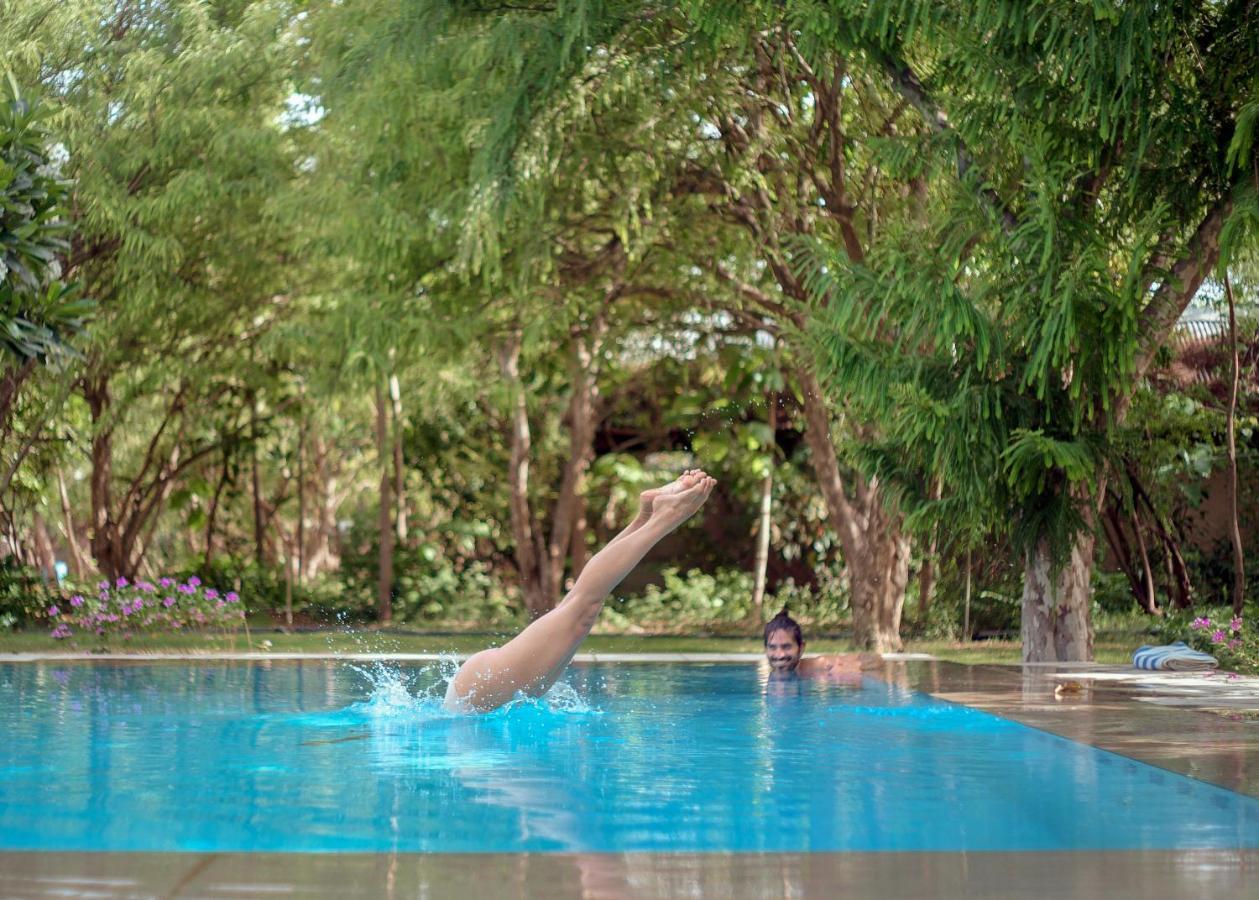Pushkarorganic - Lux Farm Resort With Pool Exteriér fotografie